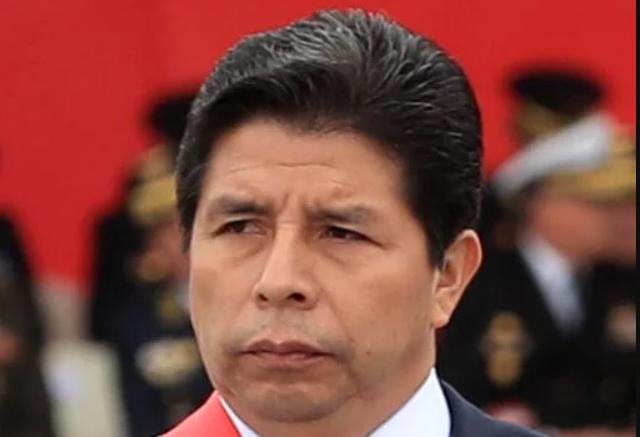 Pedro Castillo (2021–2022)